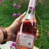 Platino Espumante Espanhol Pink Moscato 750ml - Image 3